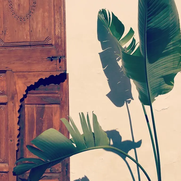 Riad Up Marrakesh